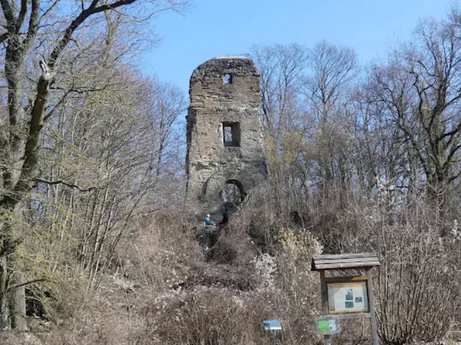 Ruine Speckfeld, Germany